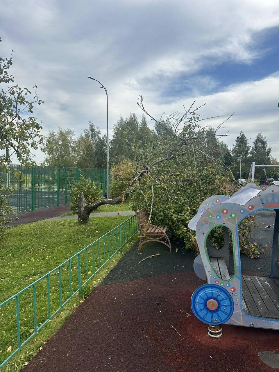 Мощный ураган в Москве сносит деревья и срывает металл с крыш домов
