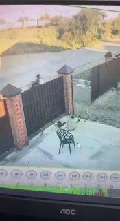 Автомобиль на полном ходу сбил ребенка на мопеде в Приморье