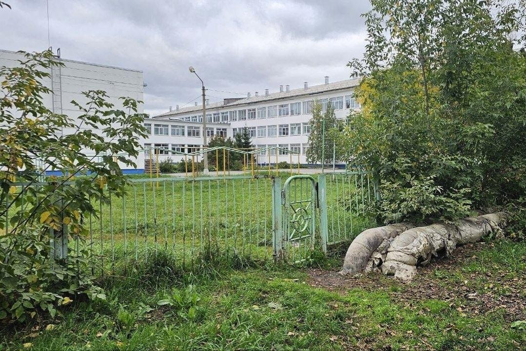 В Ачинске собака укусила ребёнка Известно, что животное укусило семилетнего...
