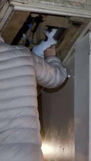Котенка спасли из замурованной крыши московской пиццерии на Бескудниковском...