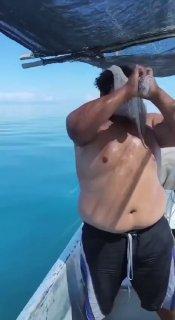 Осьминог вцепился в лицо рыбаку и едва не задушил его в Эквадоре