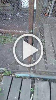 Пьяный мужчина катался на картинге по городу