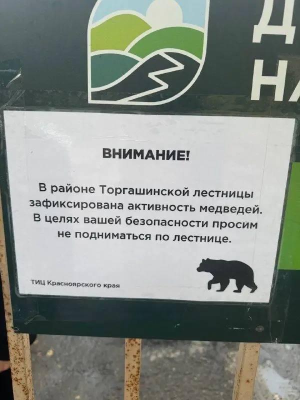 Перед лестницей на Торгашинском хребте вывесили предупреждение о медведях....
