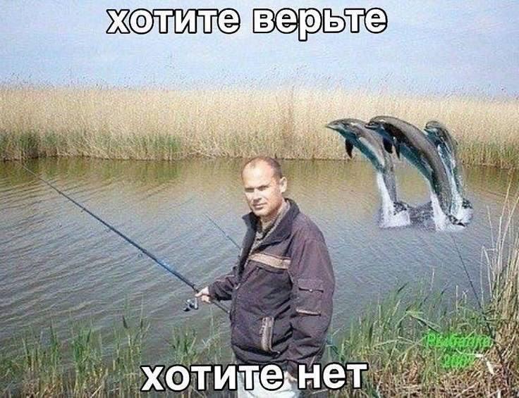 Екатеринбуржец украл стул, угрожал жене ножом и напал на полицейского