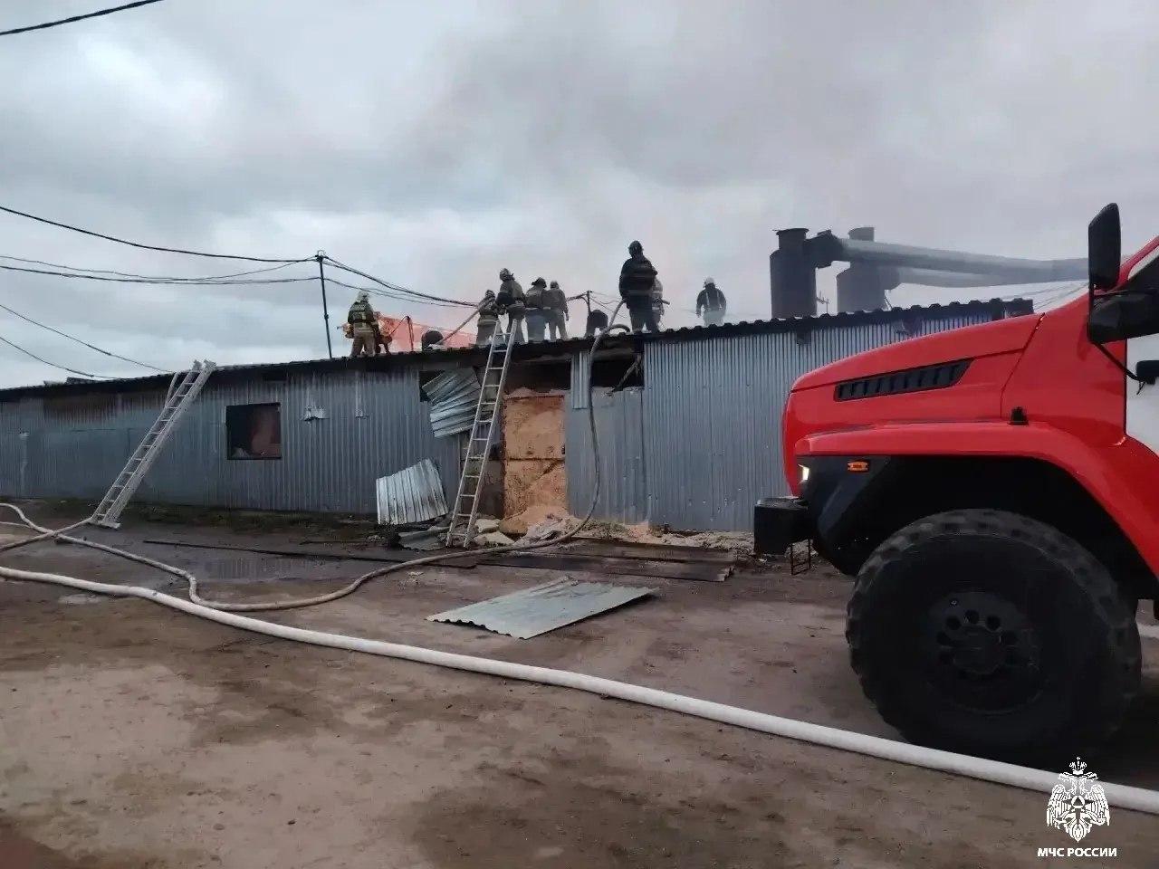 Пожар уничтожил пилораму застройщика под Новосибирском