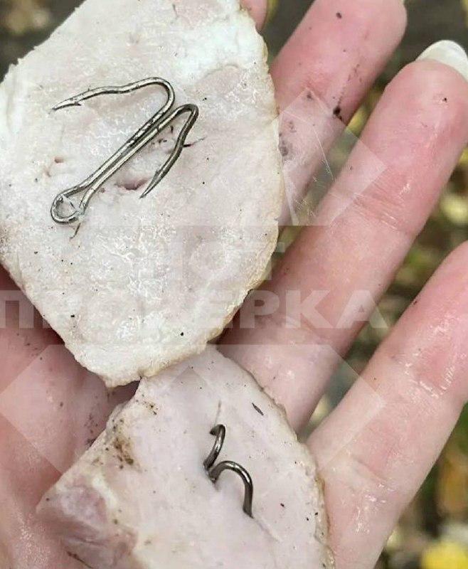 В Подольске догхантеры разбросали ветчину с рыболовными крючками