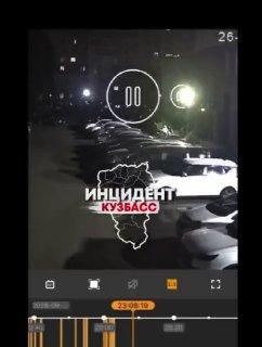 В Кемерово медведь разгуливал ночью прямо по жилым дворам и детским...