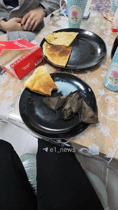 Летучая мышь залетела в тарелку к жильцам нового ЖК на Широкой Речке