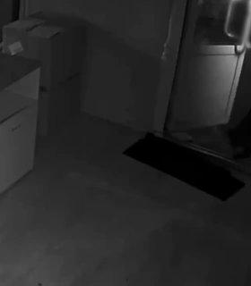 Школьники ограбили ПВЗ в Ленобласти ради...огромного резинового дилдо