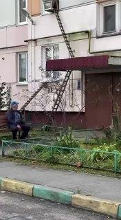 Петербургский кот получил персональный вход домой