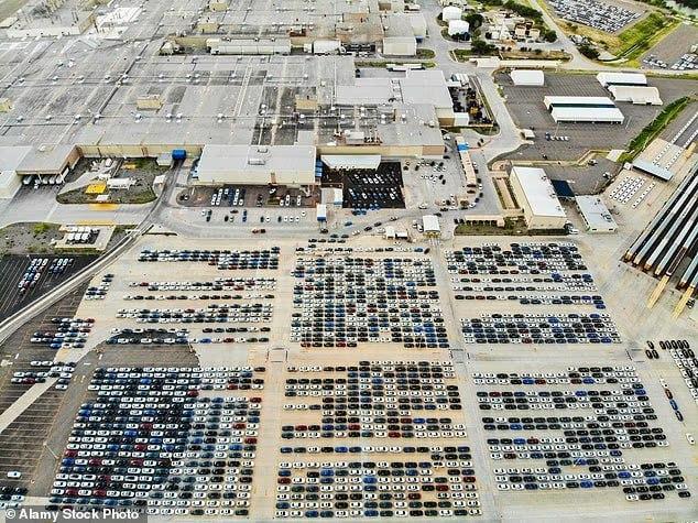 У Ford появился самый необычный сотрудник — ястреб Эль-Чарро, который работает на заводе в Мексике и гоняет голубей из цехов.