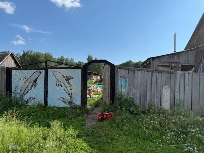 «Сотрудников полиции я не видел, зрение плохое»: житель Канского округа предстанет перед судом за нападение с бензопилой