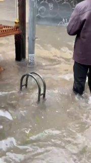 Бангкок превратился в огромный аквариум: по затопленным улицам плавают рыбы