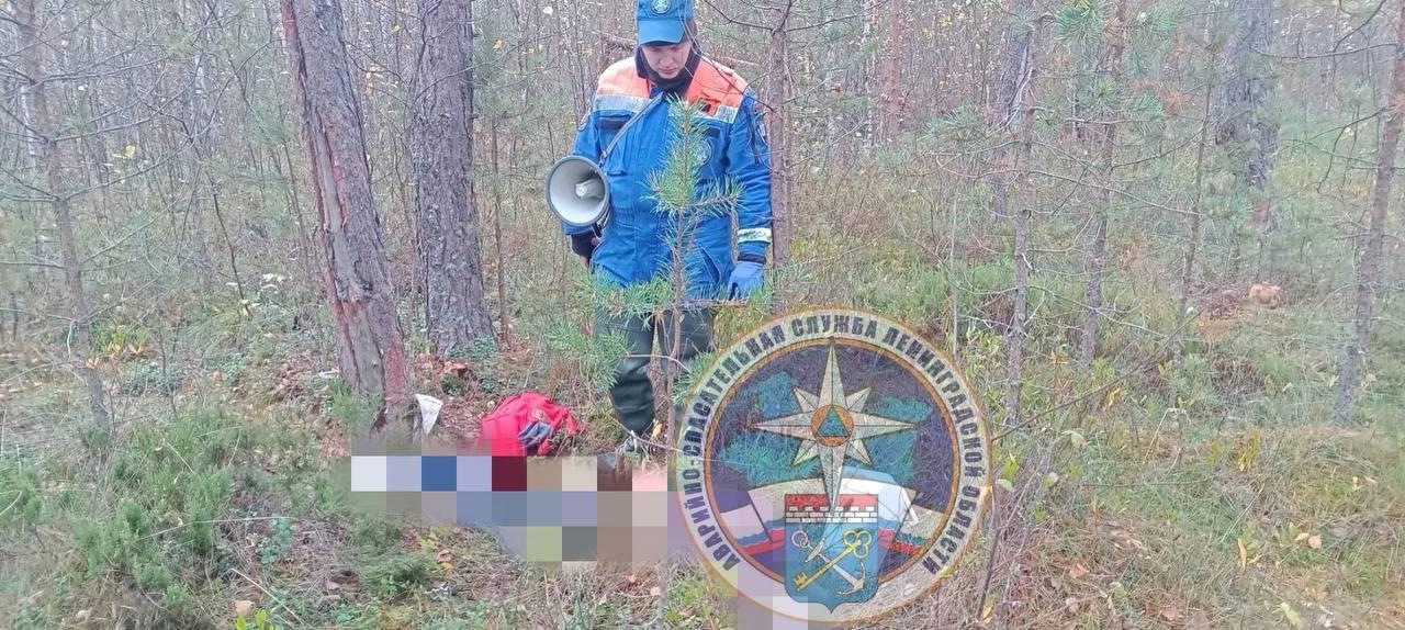 Пропавшую в лесу под Шлиссельбургом женщину нашли погибшей