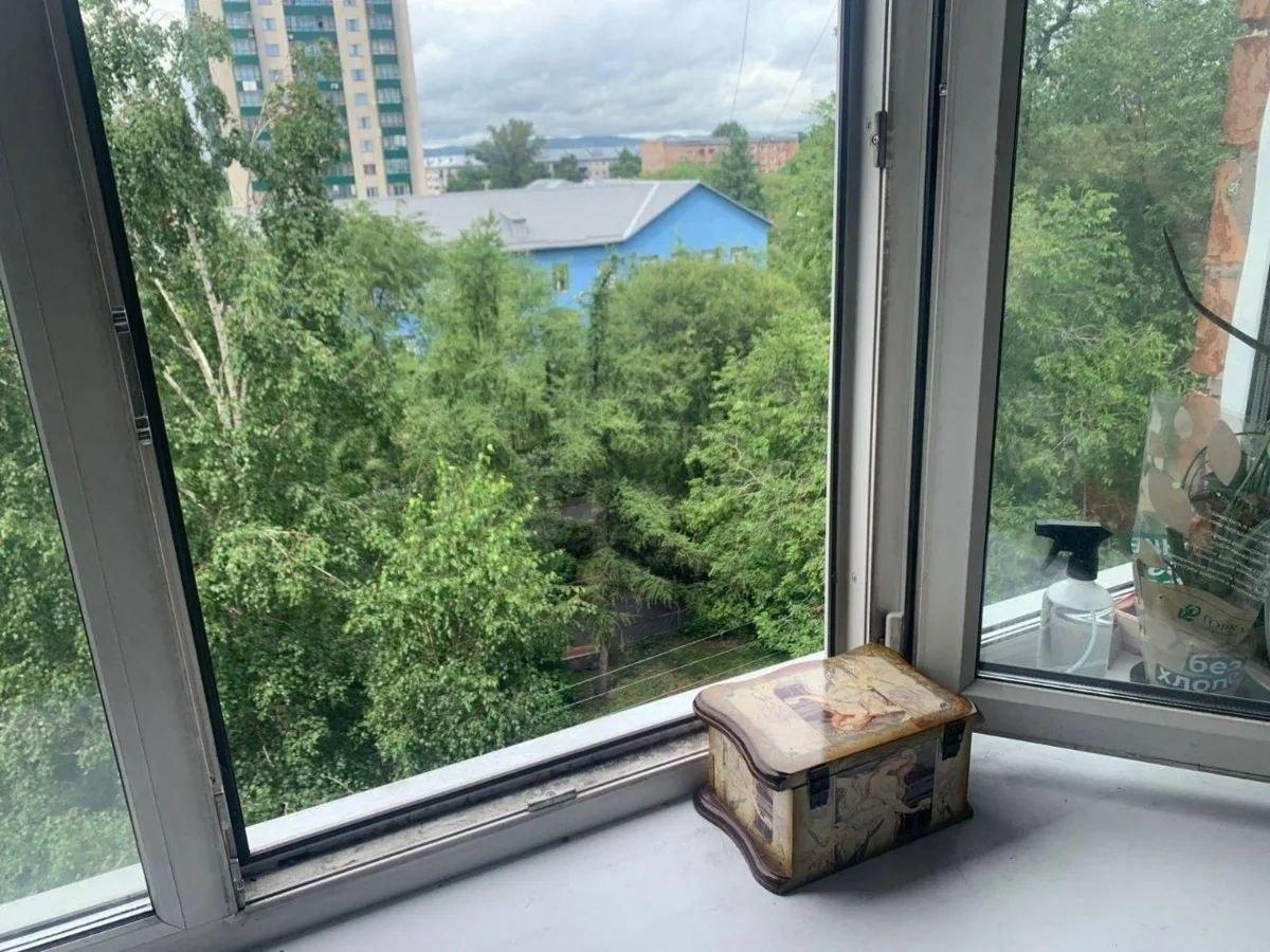 В Абакане вынесли приговор матери погибшего при падении из окна малыша