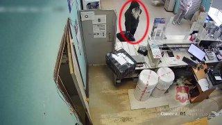 В Перми задержали пару из Екатеринбурга, которая продавала через интернет сильнодействующие вещества, заказанные из-за рубежа