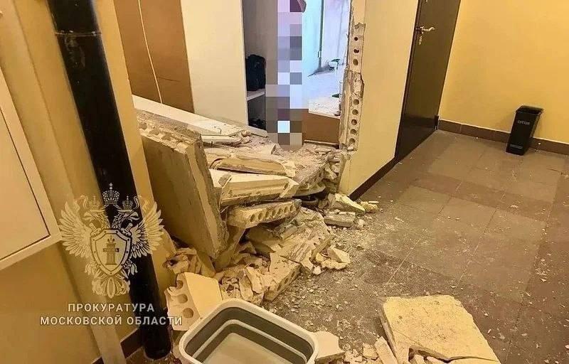 Кот взорвал квартиру в Одинцово, пока хозяев не было дома.