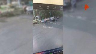 40-метровое дерево рухнуло на четырёх человек в провинции Западная Ява в Индонезии
