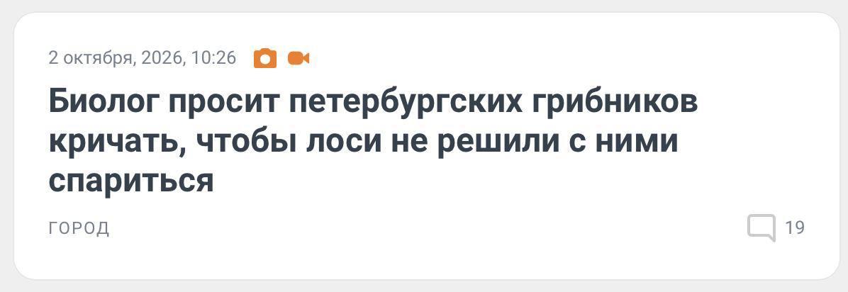 Лось может принять грибника за невесту В Ленобласти у лосей продолжается...