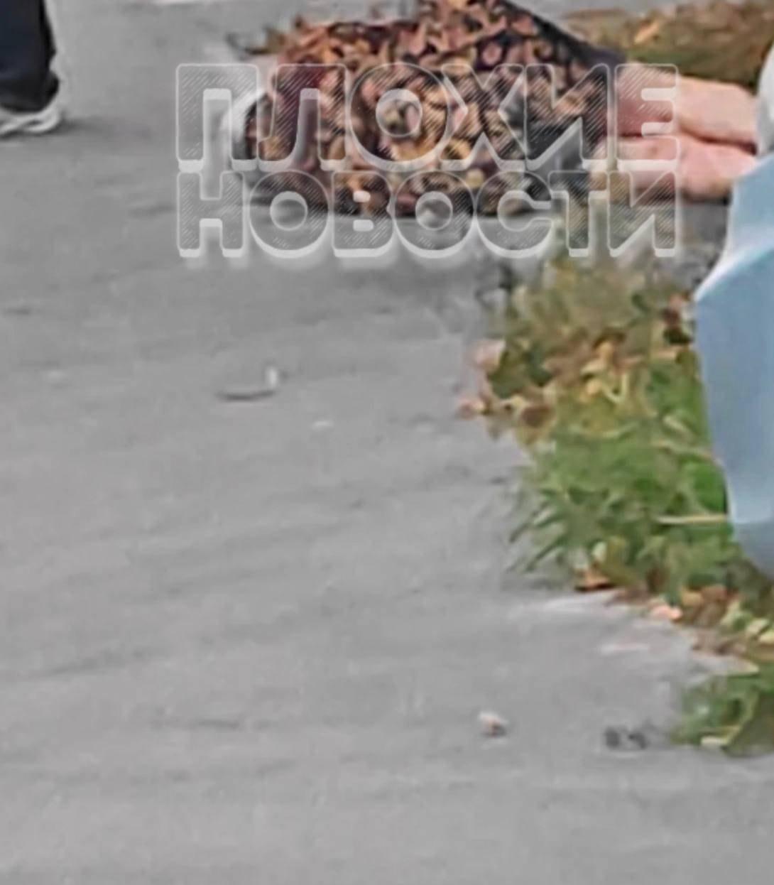Трагедия в Ульяновске: освободившийся из тюрьмы уголовник зарезал свою мать и отчима