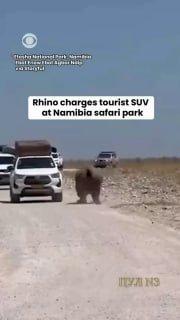 Разъяренный носорог атаковал внедорожник с туристами в национальном парке в Намибии: