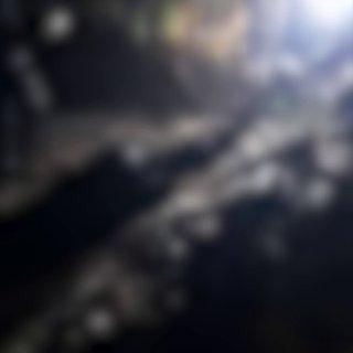 Медведь напал на оленевода на Чукотке. Это второе нападение на человека в регионе за год