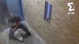 Ребёнок издевался над котом в челябинском ЖК 