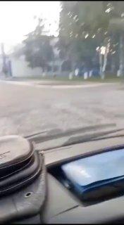 В Междуреченске рядом с «Распадской» заметили медвежонка