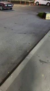 В Химках женщина за рулём врезалась в автомобиль, снесла туи в кадках у...