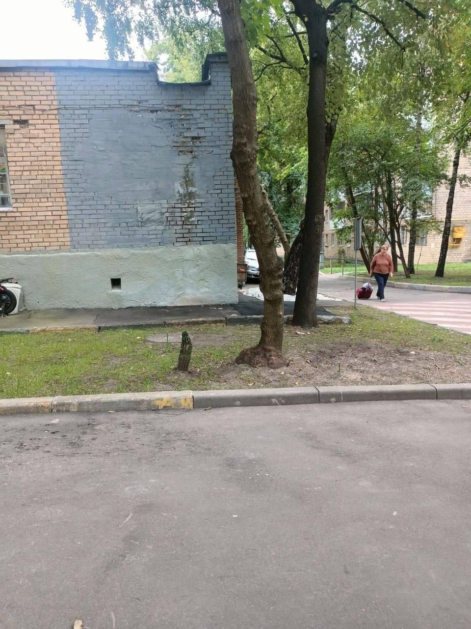 В Очаково-Матвеевском кактус очень просится домой 🇷🇺 Источник: ЧП МОСКВА