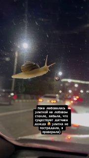 Так быстро улитка ещё никогда не двигалась. Источник: 🤔 авто