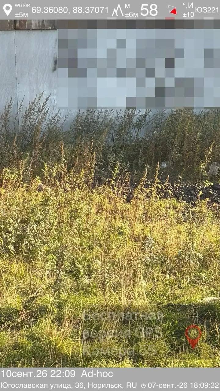 В Норильске полицейские задержали двоих жителей города, рекламировавших интернет-магазин по сбыту наркотиков