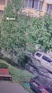 Жители Новосибирска пожаловались на соседку, выбрасывающую мусор из окна В...