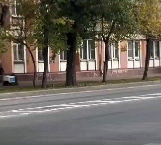 Пенсионерка устроила побег от восстания машин в Москве