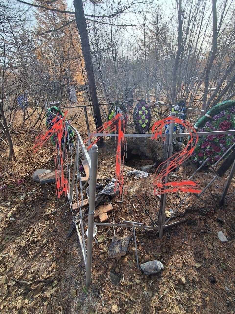 Гигантский медведь повадился раскапывать могилы и красть тела на кладбище в...