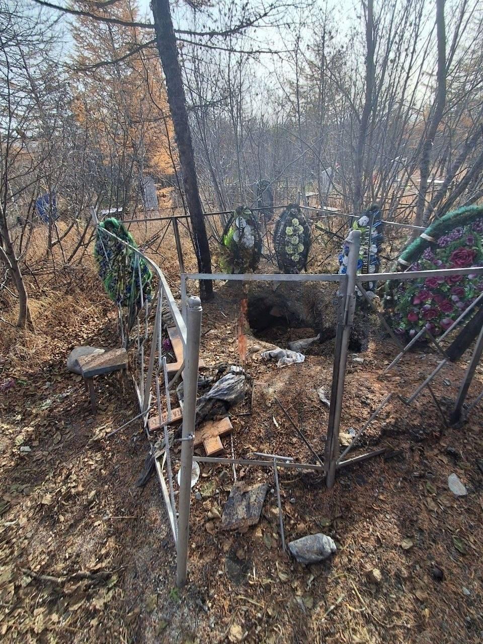 Кладбищенский хоррор из Магадана: медведь раскопал могилу и съел труп женщины.