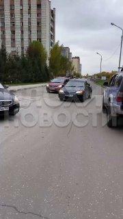 Новосибирский цыган сбил собаку и потребовал от её хозяйки оплатить разбитый бампер