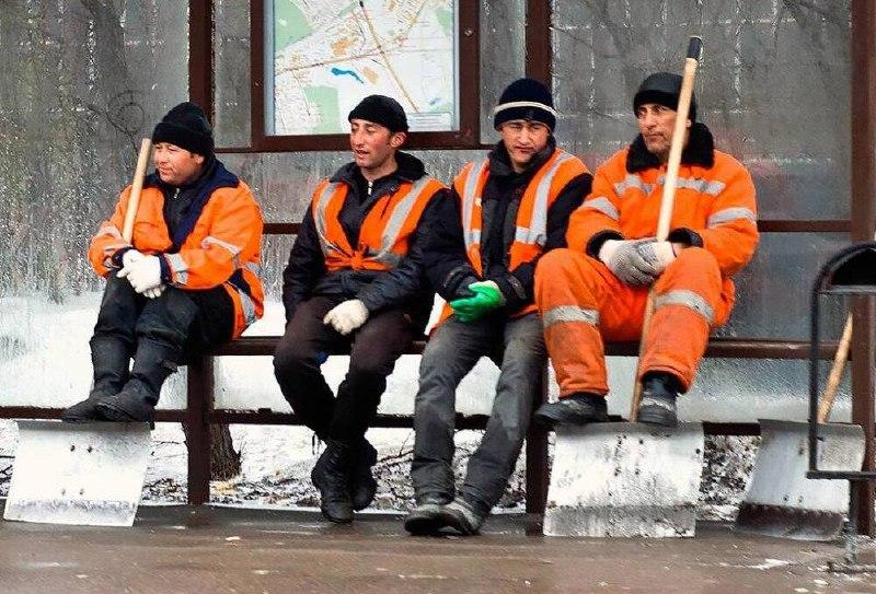 В Кузбассе мигрантам запретили работать по 40 направлениям