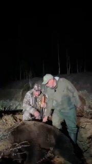 «Так, чтобы счёт шёл на сотни, я себе даже не представлял»: главред...