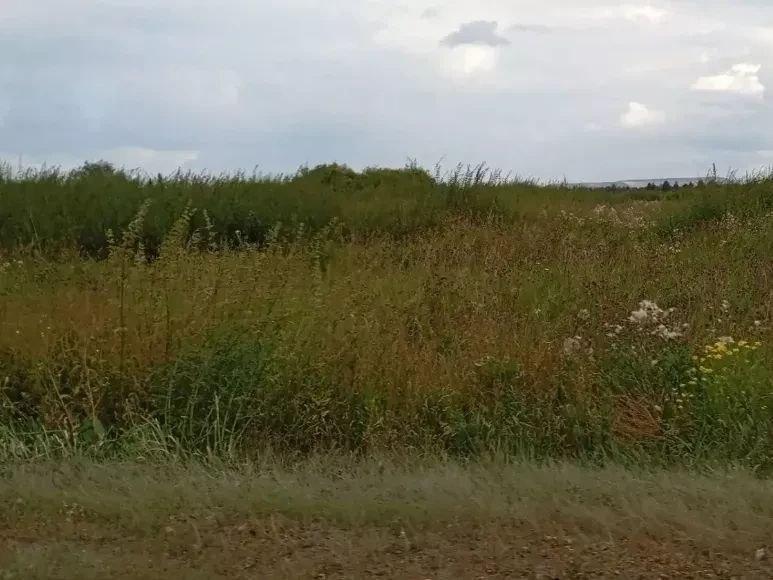 В Ачинском округе многодетной семье предоставили непригодный для...