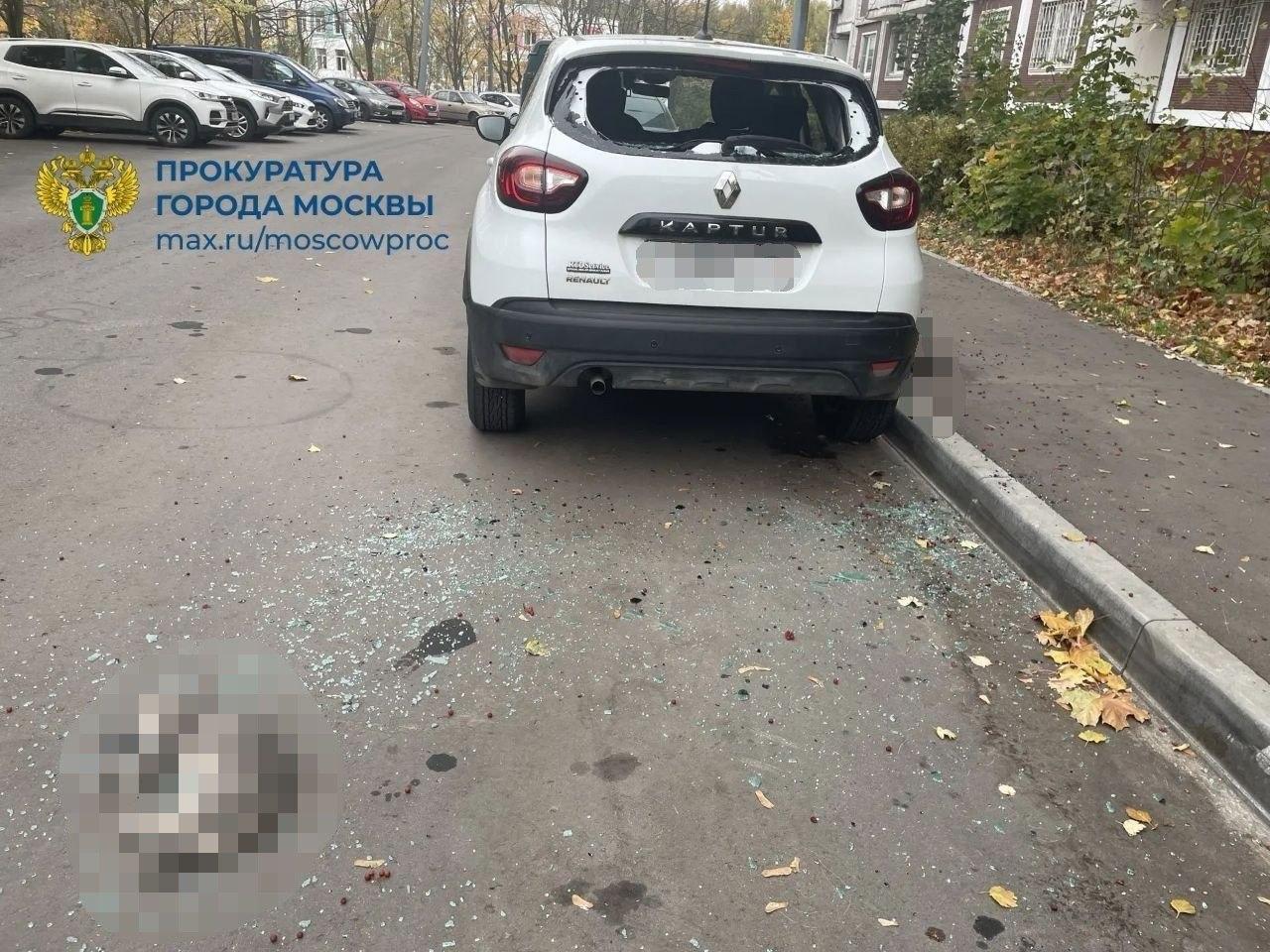 В Москве пьяный мужчина выбросил четырёх котов с 20-го этажа — все погибли