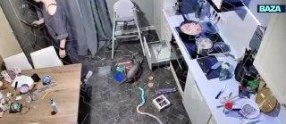 Москвичка случайно запекла айкос с котлетами — он взорвался в духовке.