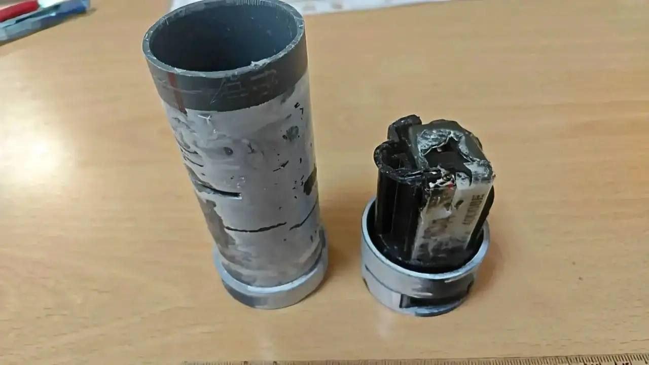 ВСУ заминировали российские леса, маскируя взрывчатку под грибы