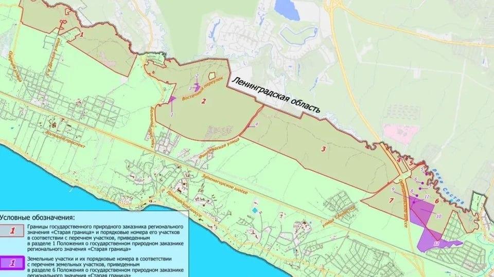От Белоострова до Комарово в Петербурге хотят создать заказник площадью 1200 гектаров