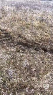 Два человека пострадали при отказе двигателя самолета «Авиалесоохраны» в Забайкалье