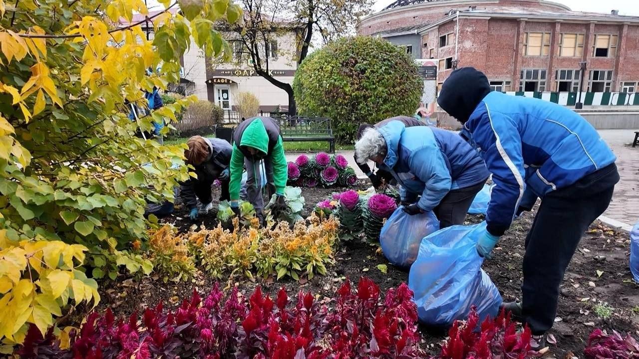 В Иркутске завершают уборку цветов с уличных клумб