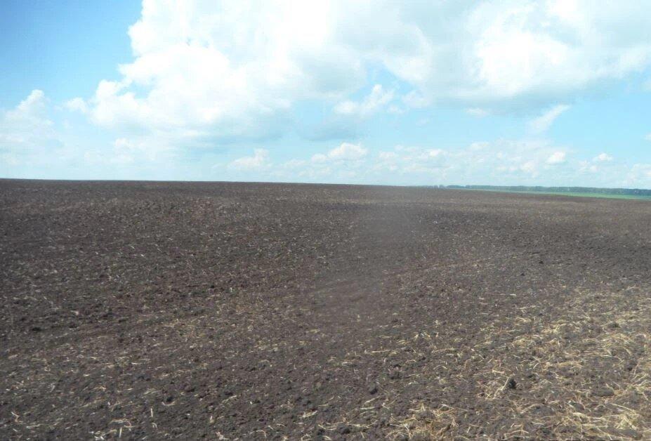 В Красноярском крае выявили более 58 тыс. га неиспользуемых сельхозземель С...