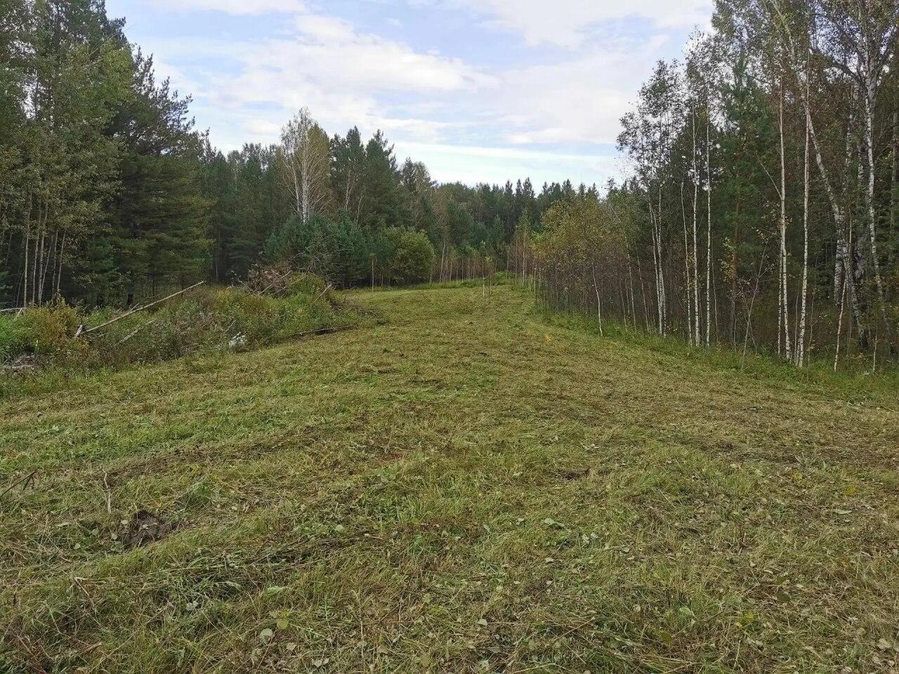 В Красноярском крае выявили более 58 тыс. га неиспользуемых сельхозземель С...