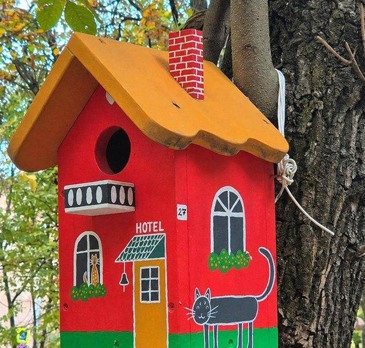 Только посмотрите, какие милые кормушки для птиц и белочек можно увидеть в...