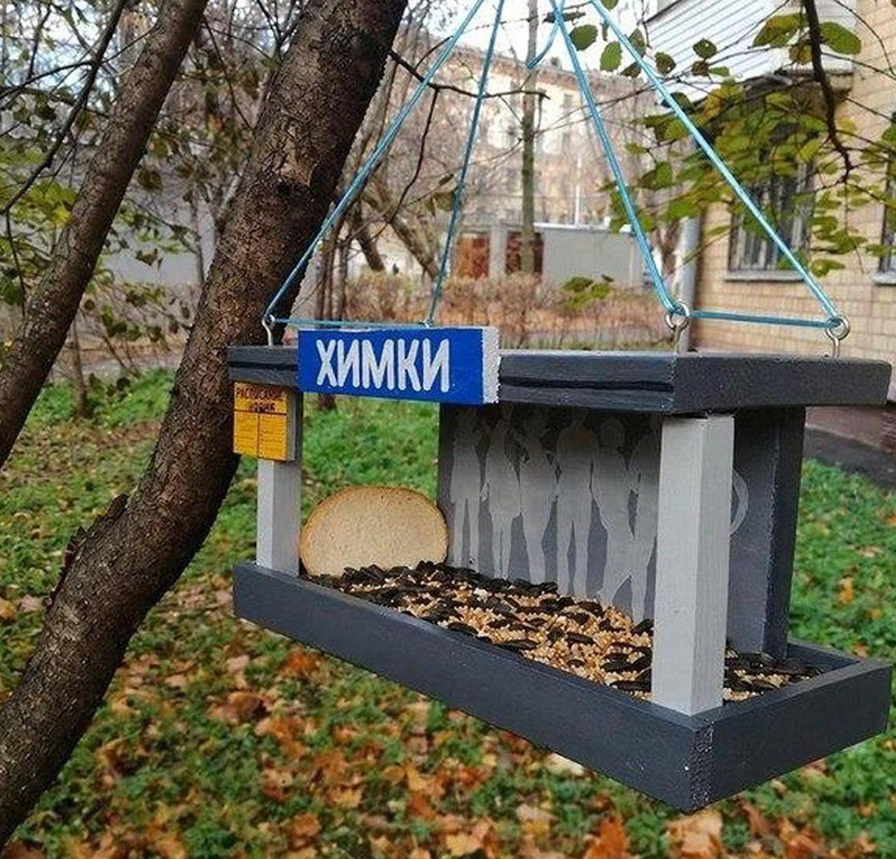 Только посмотрите, какие милые кормушки для птиц и белочек можно увидеть в...